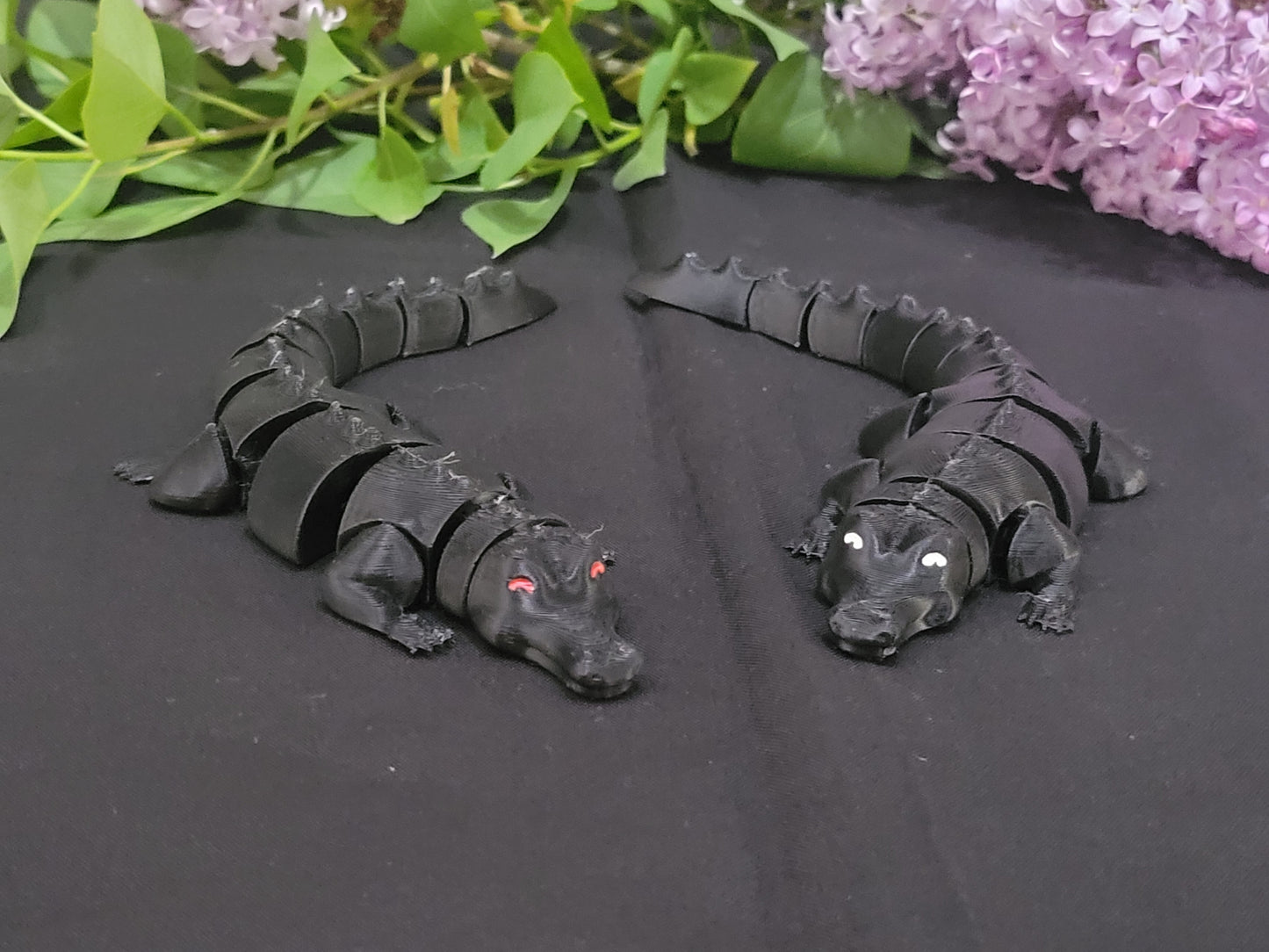 Alligator