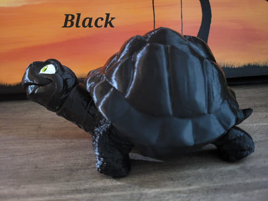 Tortoise
