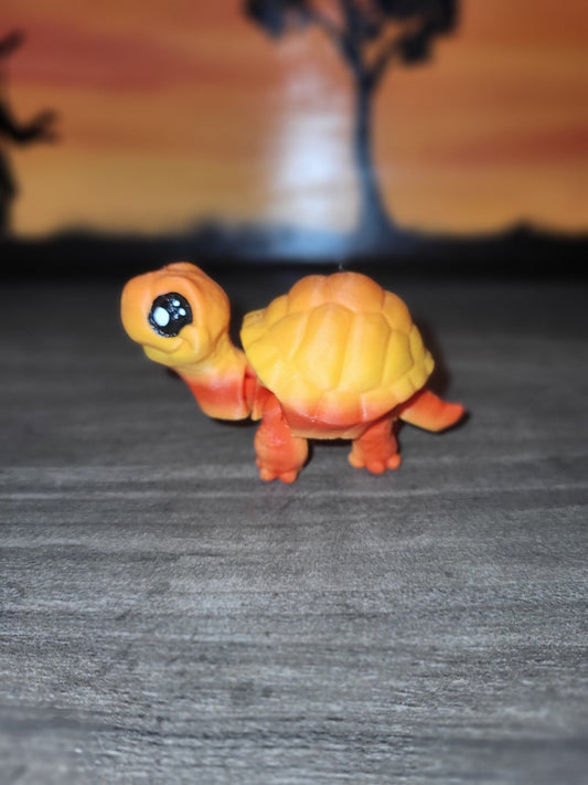 Turtle Baby