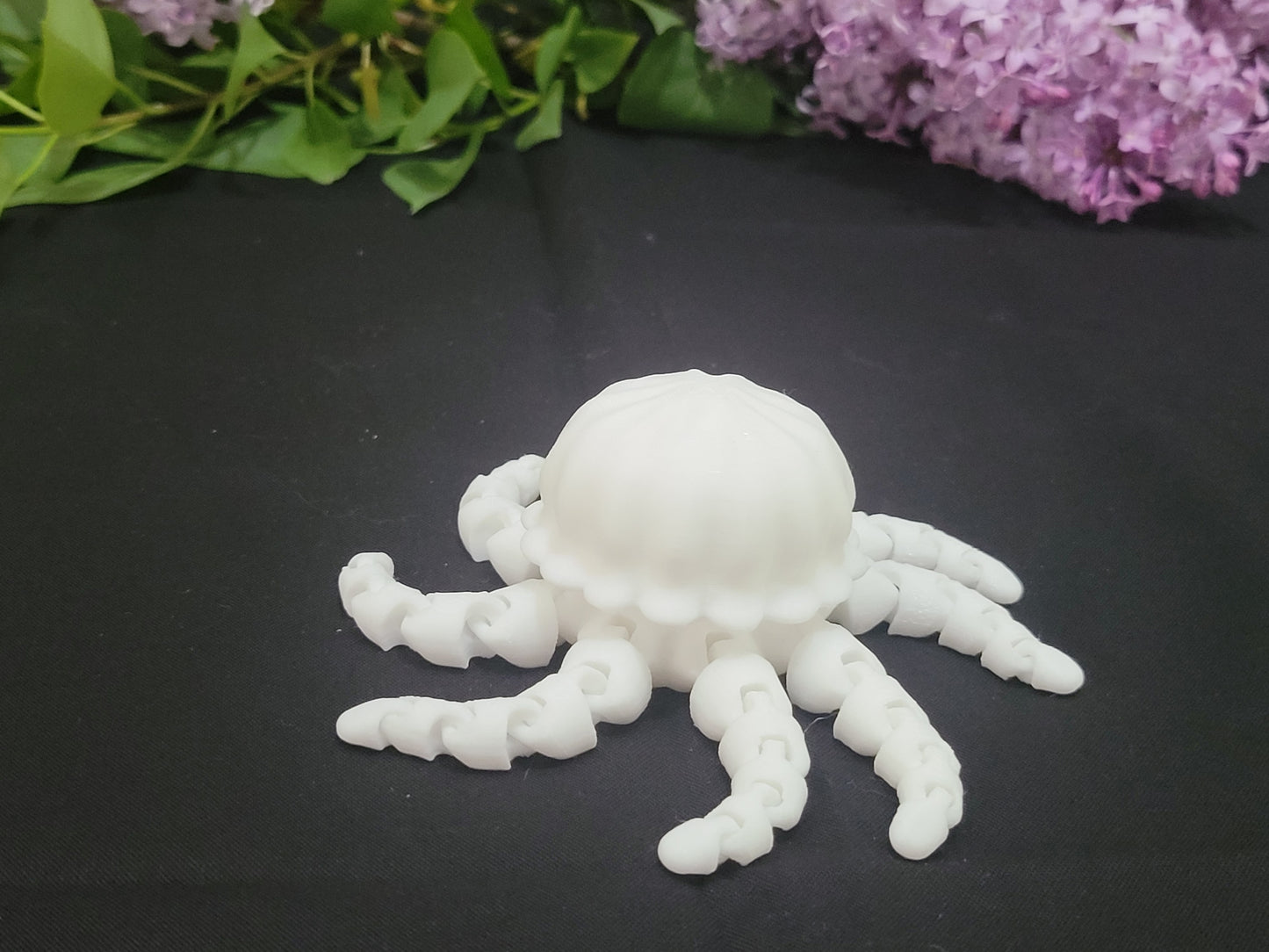 Jellyfish