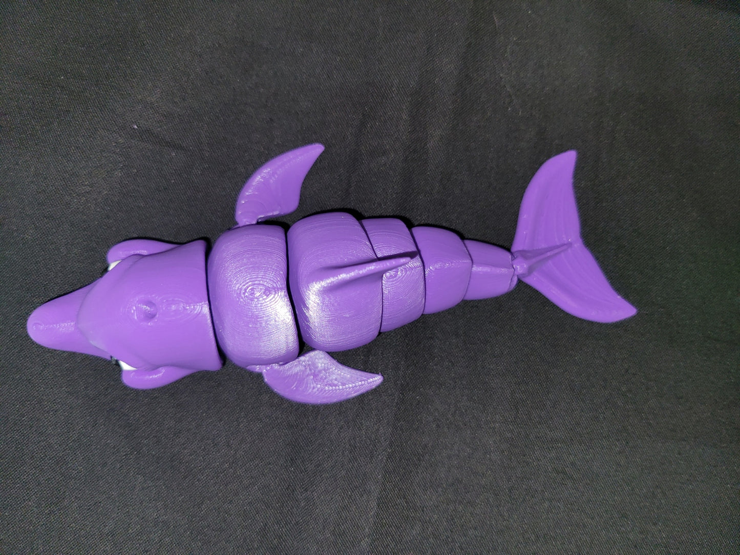 Dolphin