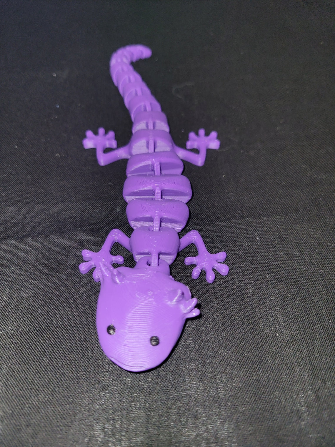 Axolotl