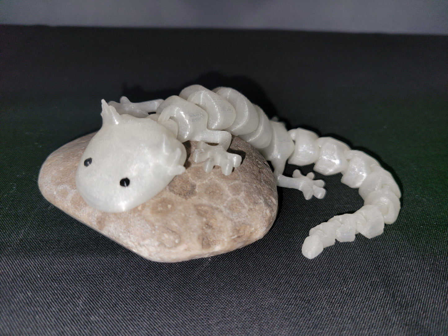 Axolotl