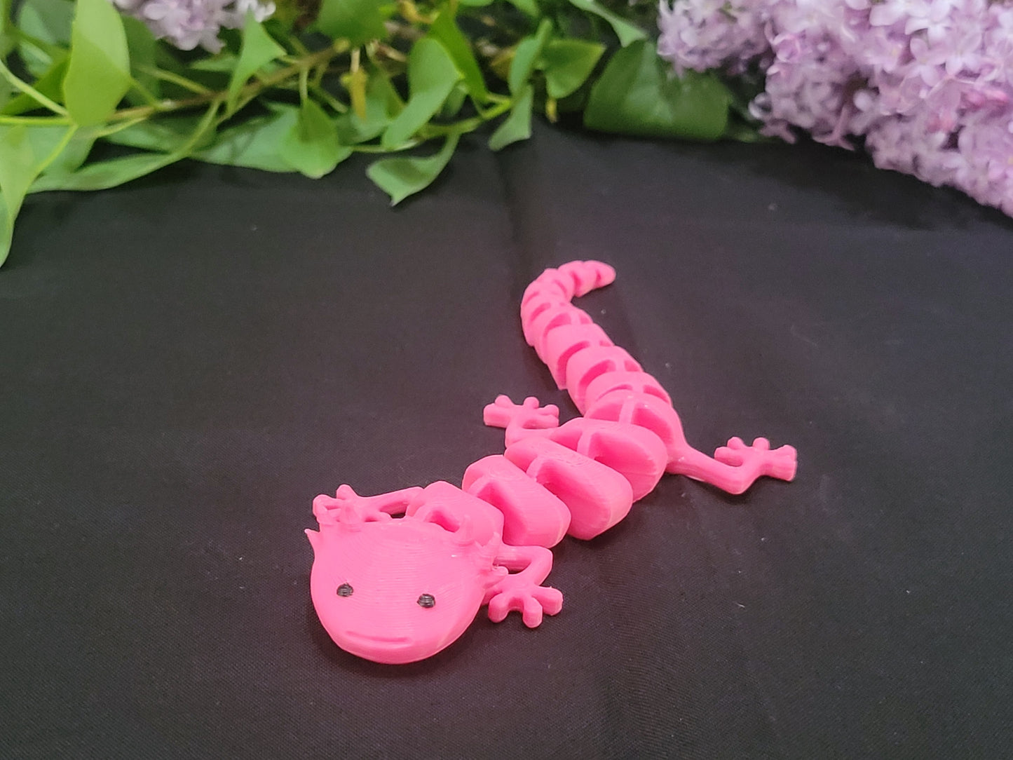 Axolotl