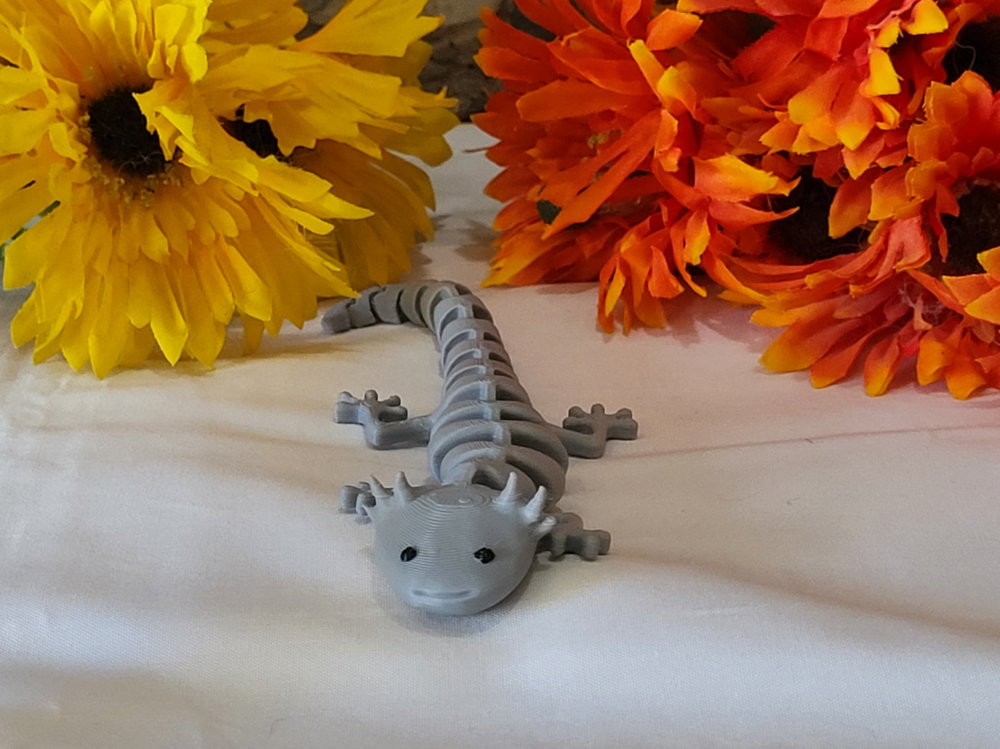 Axolotl