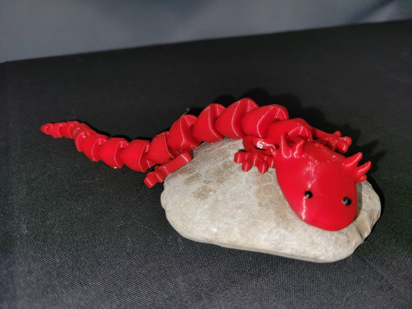 Axolotl