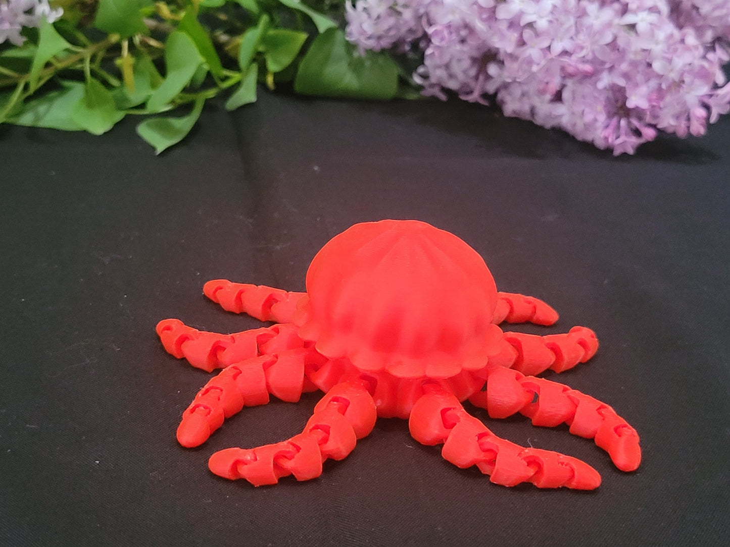 Jellyfish