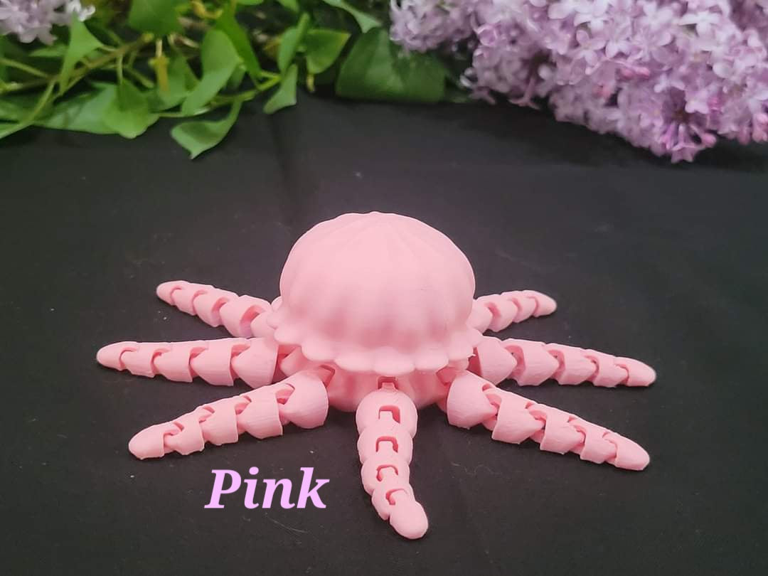 Jellyfish
