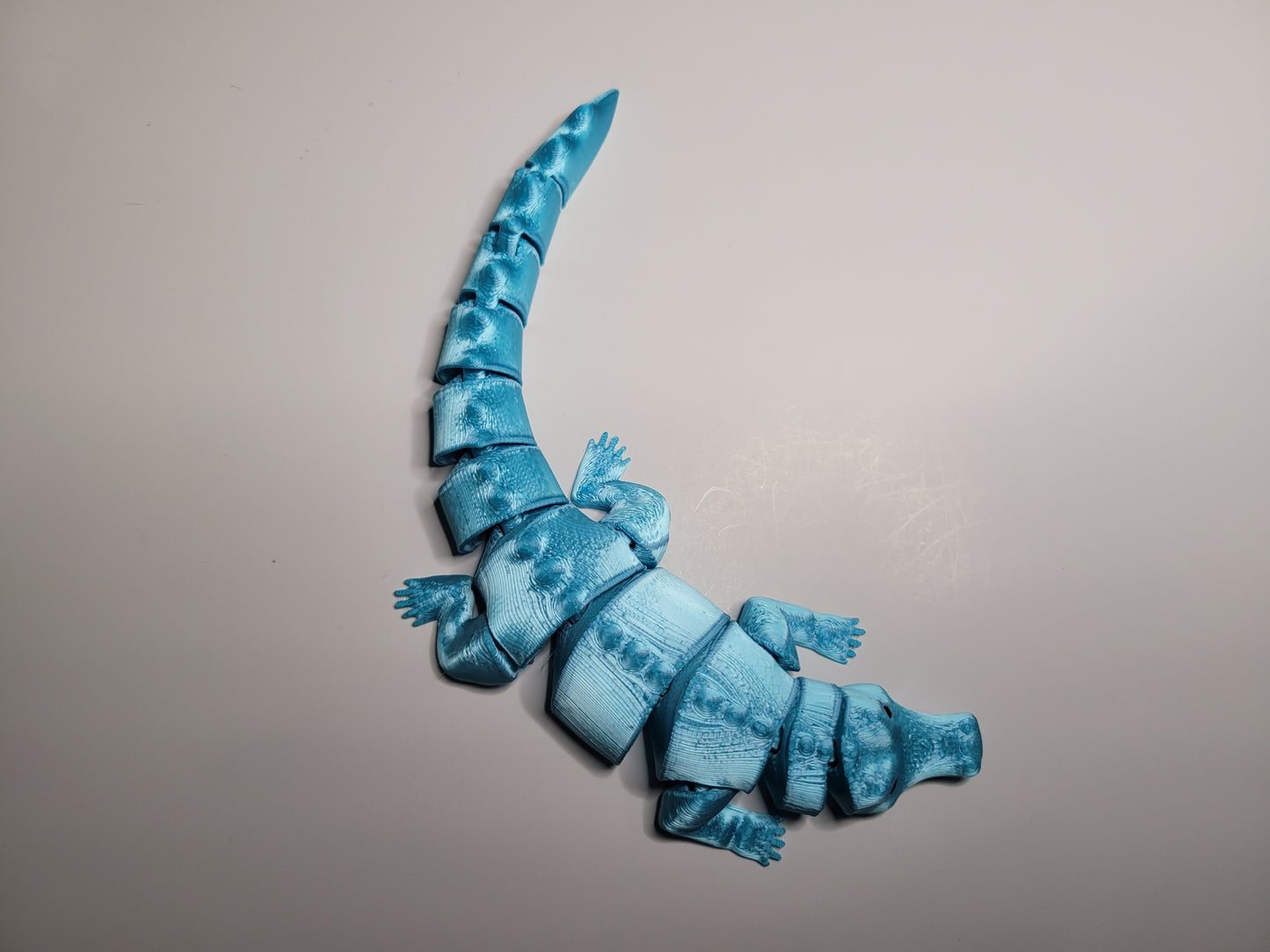 Alligator