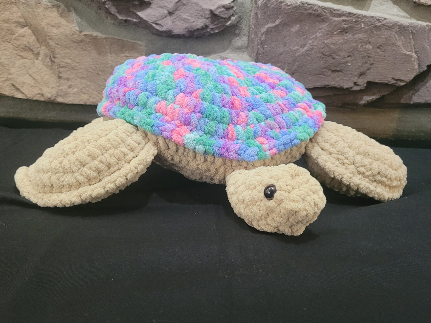 Turtle small Fun Colors