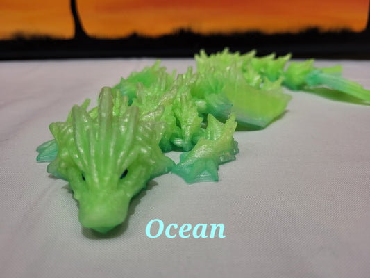 Ocean Dragon