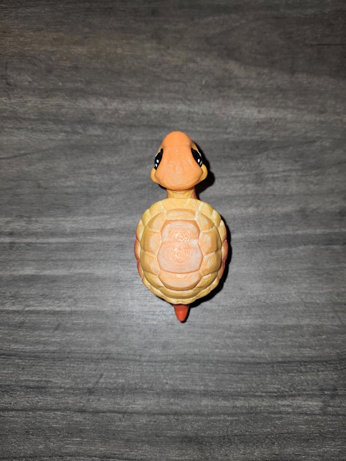 Turtle Baby