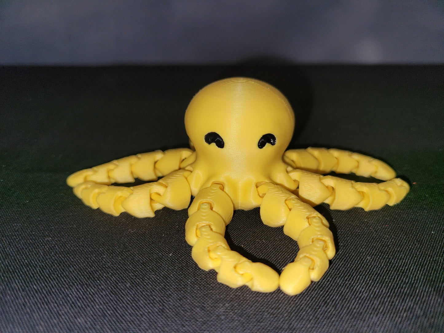 Octopus